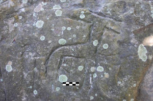 rock engraving discovered from the new site that similar to one in ...