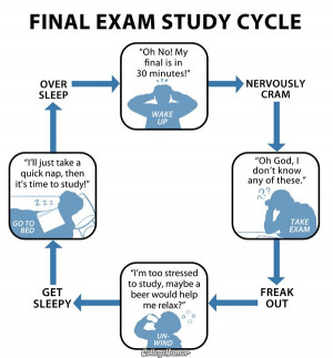 Funny College Final Exam Quotes Final exam study cycle
