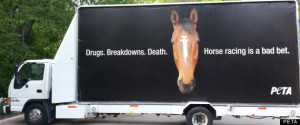 PETA Kentucky Derby Billboard Protests Horse Racing Drug Use, Draws ...