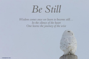 be still in the now picture quotes
