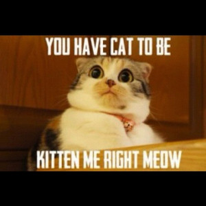 Funny Quotes For Instagram Funny Quotes And Pictures For