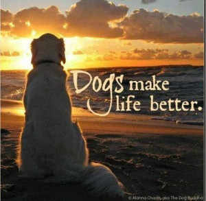 Dogs make life better!