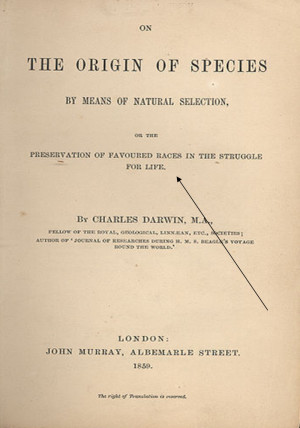 பின்னர் சில காலங்களுக்கு ...