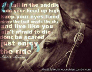 KEEP CALM and LOVE HORSES