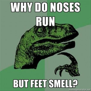 why do noses run, but feet smell, funny one liners