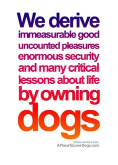 we derive immeasurable good, dog quote