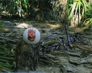 Tom Hanks Castaway Wilson 8x10 Picture