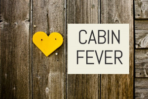 Cabin Fever Quot Jobspapa