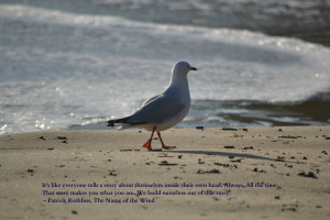 Seagull Identity Quote