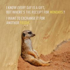 know every day is a gift, but where’s the receipt for Mondays? I ...