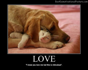 Love dog cat Best Demotivational Posters