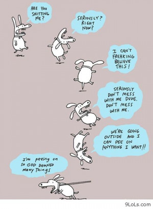 Funny Pictures, Funny Quotes, Funny Videos - 9LoLs.com | All kind of ...