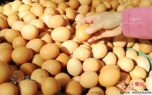 ... price stability there are rises; Eggs, edible oil, fruit price