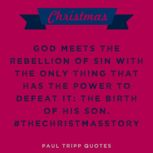 TheChristmasStory. A quote from Paul David Tripp.