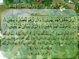 ... Quotes about Rizq - Allah is giving Rizq to everyone - Sayings about
