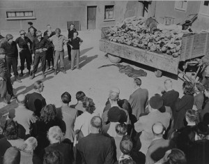 corpses at buchenwald concentration camp germany april 1945 an