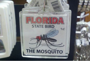 Funniest_Memes_florida-state-bird-the-mosquito_14926.jpeg