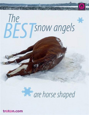 The BEST snow angels... Lake Perris Sports Pavilion http://socalfair ...