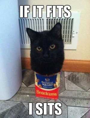 Our cats DO this! Not quite so extreme, but seriously, if they can get ...