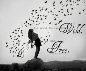 all good things are wild, and free