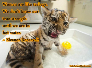Cute Baby Animals with Quotes