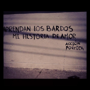 accion poetica colombiana accion poetica ecuador accion poetica mexico