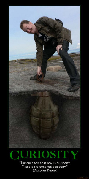 CURIOSITY - demotivational poster