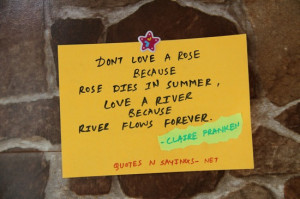 Don't love a rose because rose dies in summer, love a river because ...