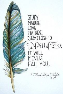 Study nature. Love nature. Stay close to nature. It will never fail ...