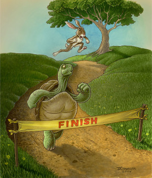 The Tortoise and The Hare: Aesop Had Major Gifts Officers In Mind…