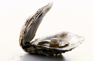 ... shell, bone, coral or parasite does the oyster start nacre production