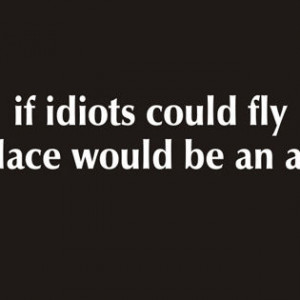 If-Idiots-Could-Fly-Facebook-Cover.jpg