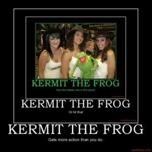 kermit-the-frog-kermit-frog-cubby-action-sex-demotivational-poster ...
