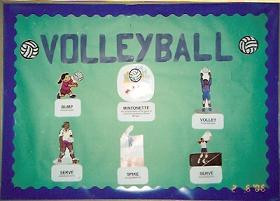 ... Soccer Bulletin Board - Professional Development - and Volleyball