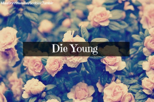 Tumblr Roses Quotes #quote #mine #saying #sayings