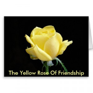 yellow_rose_of_friendship_card-p137507322904511815b2ico_400.jpg#yellow ...