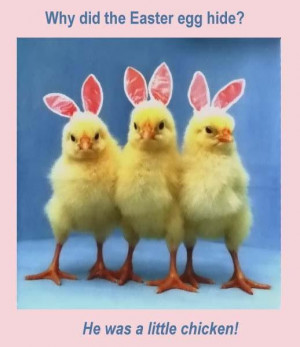Unique Funny Easter Quotes For Friends