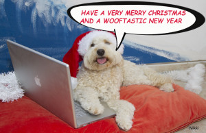 Merry Christmas Dog Sayings