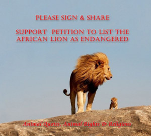 ... Support Petitiom To List The African Lion As Endangered - Animal Quote