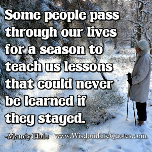 ... people pass through our lives | Wisdom Life QuotesWisdom Life Quotes