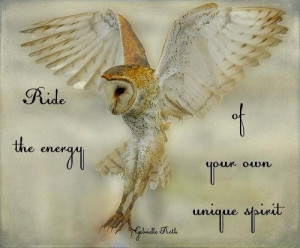 Owl quote