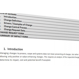 Change Control Process Template