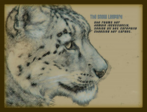 Leopard Sayings