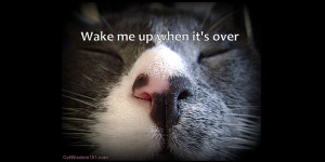 Veterinary Technician Quotes Cat-quote-wake me up-vet-tech-