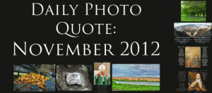 Daily Photo Quote: November 2012