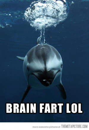 Funny photos funny dolphin bubble underwater