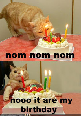Funny Birthday Quotes and Funny Birthday Pictures