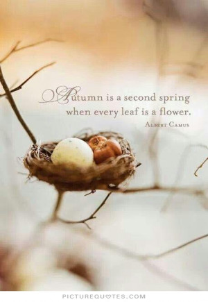 Flower Quotes Spring Quotes Autumn Quotes Leaf Quotes Albert Camus ...