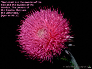 islamic wallpapers flowers 02 Islamic Wallpapers Flowers