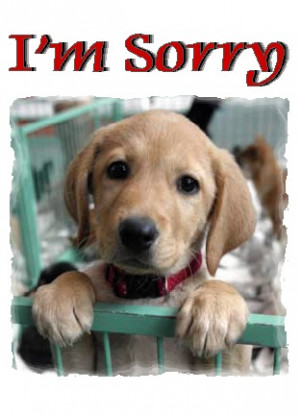 ... sorry-cute-puppy/][img]http://www.tumblr18.com/t18/2013/12/Im-sorry
